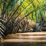 Upper Mekong River Full-Day Group Tour (My Tho & Ben Tre) - Potential Drawbacks and Considerations