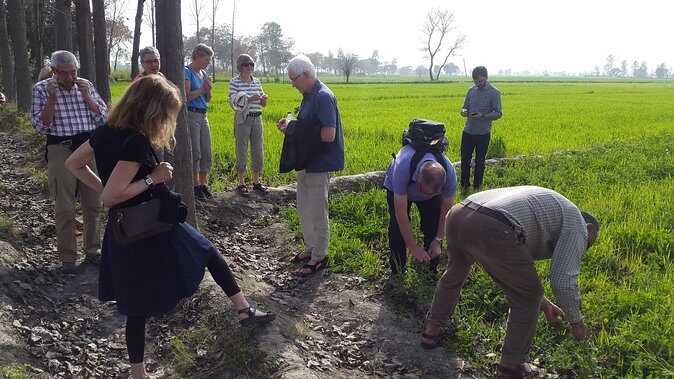 Urban Farm Trip Amritsar - Why This Tour Is a Good Choice