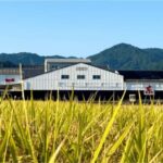 Ureshino: Gochoda Sake Brewery Tour with Tasting - Practical Details and What to Expect
