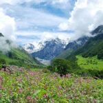 Valley of Flowers and Hemkund Trek- Banbanjara - Practical Considerations
