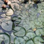 Vegetarian Seoul City Tour / Small Group / 8 Max - What Travelers Are Saying (Based on Reviews)