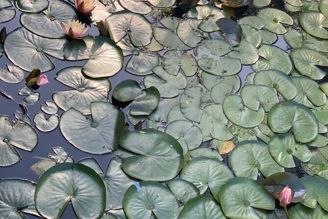 Vegetarian Seoul City Tour / Small Group / 8 Max - What Travelers Are Saying (Based on Reviews)