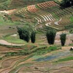 Vietnam: 14-Day Culinary Tour with Cooking Classes - Engaging Cooking Classes in Hanoi and Hoi An