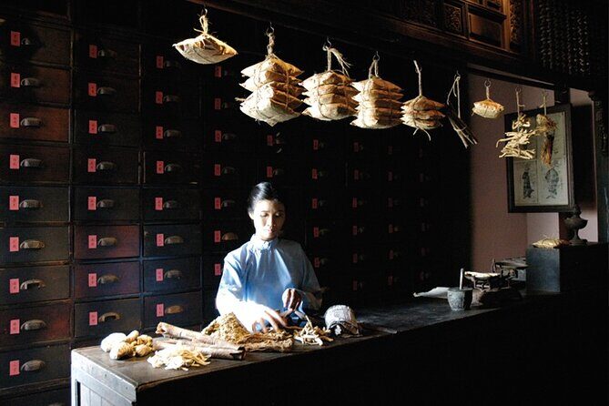 Vietnam: Fito Museum Featuring Traditional Medicine - Why This Tour Is Worth Your Time