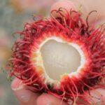 Vietnamese Food Tour with Local Guide - A Tasty Array of Traditional Dishes