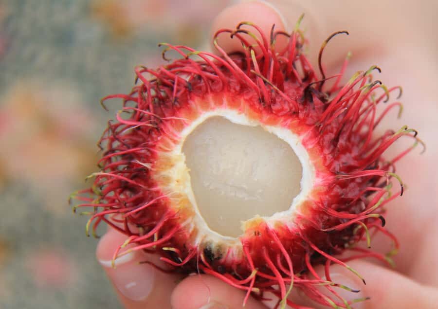 Vietnamese Food Tour with Local Guide - A Tasty Array of Traditional Dishes