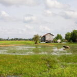 Village walking and Cooking class in Siem Reap - Why We Think This Tour Offers Excellent Value