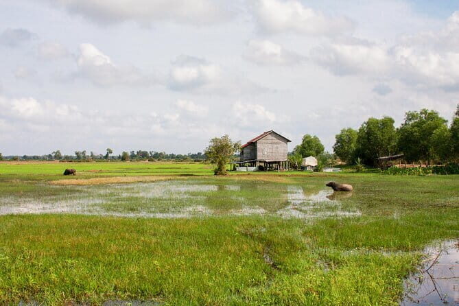 Village walking and Cooking class in Siem Reap - Why We Think This Tour Offers Excellent Value