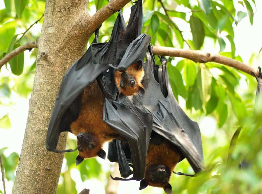 Village, Wild Life & Lake Visit Tour from Hambantota Port - The Experience’s Strengths and Considerations