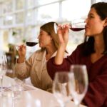 Vineyard Trail Ride and Taste at Jacobs Creek - What the Experience Looks Like: A Deep Dive