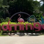 Vinpearl Phu Quoc vietnam World of Relaxation Fun and Discovery - Who Is This Tour Best For?