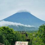 VIP Mt. Fuji and Hakone Customized Private One Day Tour. - Detailed Breakdown of the Tour