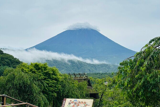 VIP Mt. Fuji and Hakone Customized Private One Day Tour. - Detailed Breakdown of the Tour