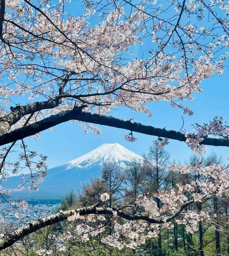VIP Mt. Fuji & Hakone with Beautiful Lakes Customised Tour - Who Will Love This Tour?