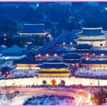 VIP Private Seoul City Tour - Authentic Insights from Past Travelers