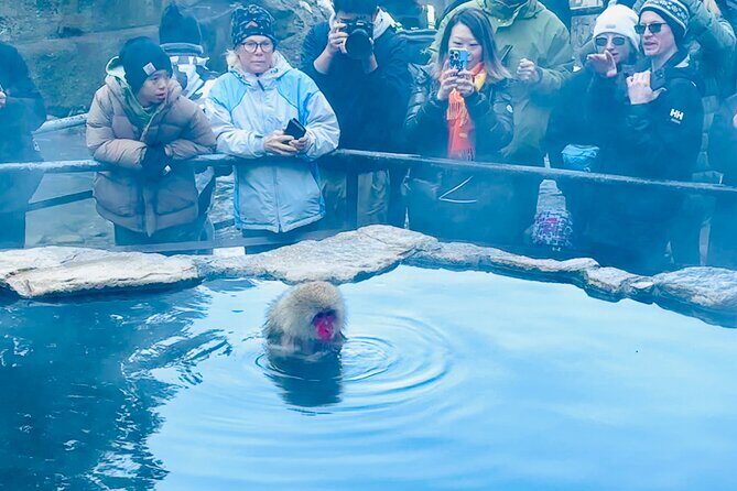 VIP Snow Monkeys Park Customized Private One Day Tour - Final Thoughts