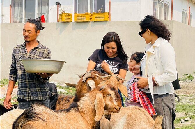 Visit Animal Sanctuary in Kathmandu - What the Tour Promises