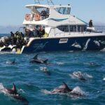 Visit Kaikura from Christchurch (small group Tour) - Who Would Love This Tour?