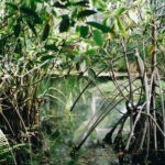 Visit of the fisher man village of Home Krateng from Bangkok with your private English-speaking guide - The Value of the Tour