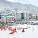 Vivaldi Park - Private Ski Lesson - The Experience Breakdown