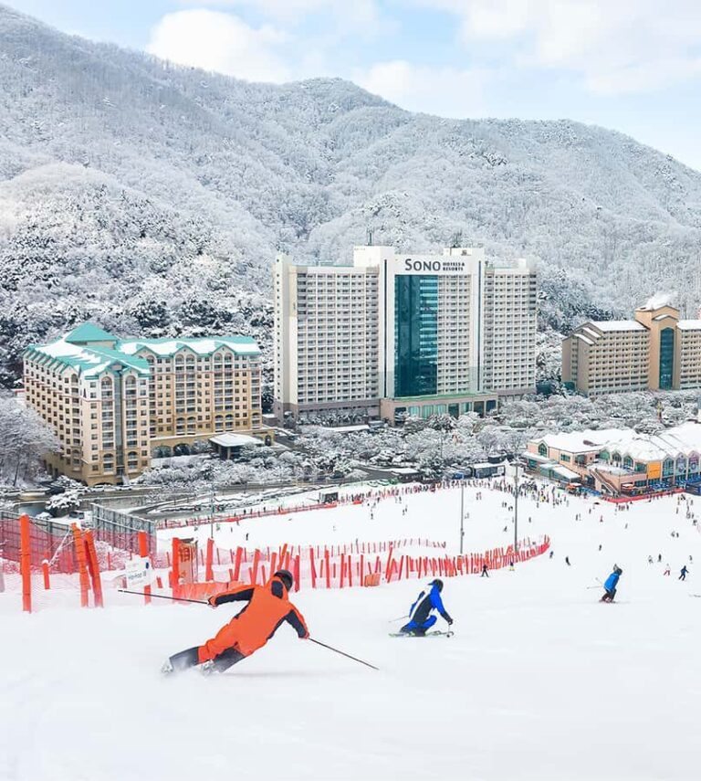 Vivaldi Park - Private Ski Lesson - The Experience Breakdown