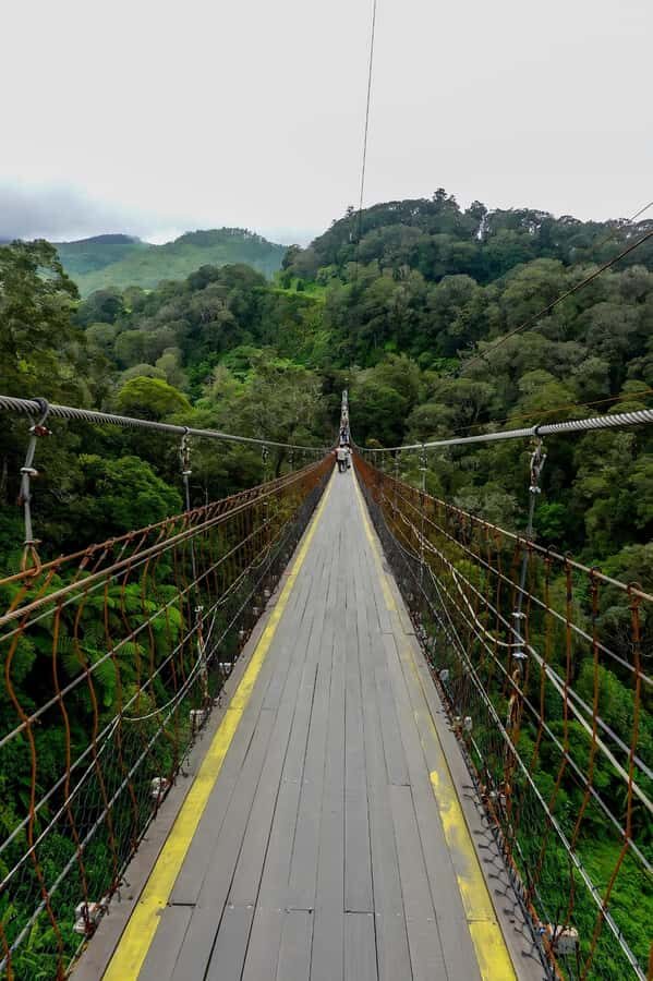 Volcano, Hot Spring, Mud Bath & Tea plantation all included - The Value of This Tour