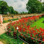 Wahga Border Flag Ceremony & Shalimar Garden Private Tour - What’s Included and What to Consider