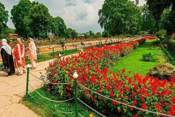 Wahga Border Flag Ceremony & Shalimar Garden Private Tour - What’s Included and What to Consider