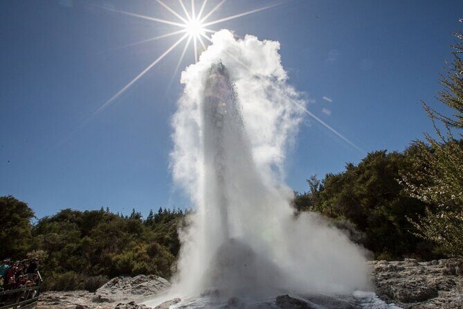 Wai O Tapu Thermal Wonderland with Forest Walk or Forest Spa - Who Will Love This Tour?