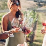 Waiheke Island: Afternoon Wine Tour with Oceanfront Lunch - Why You’ll Love the Waiheke Island Afternoon Wine Tour