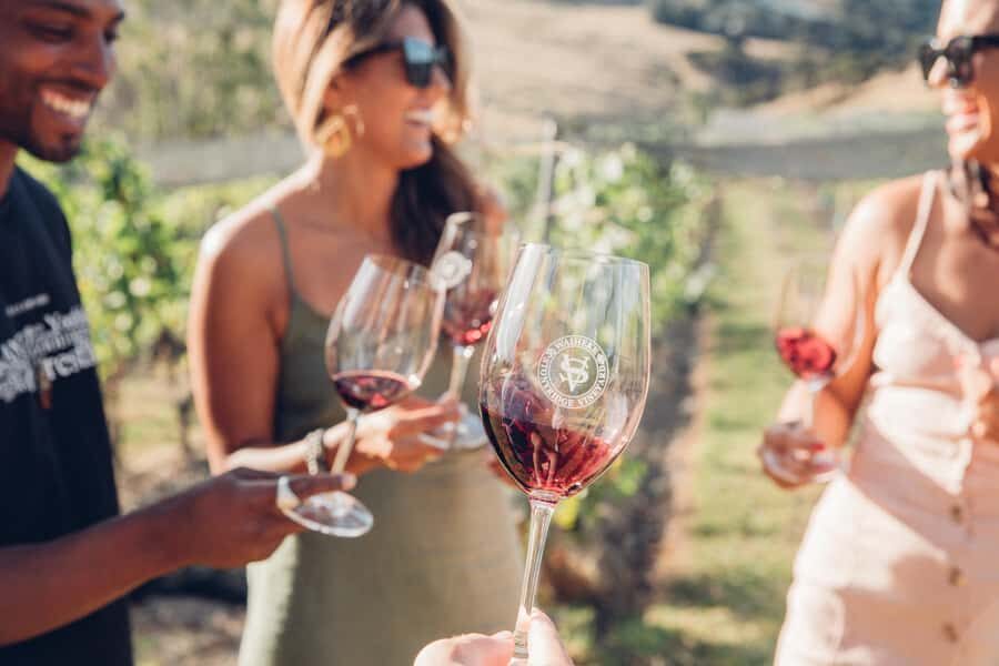 Waiheke Island: Afternoon Wine Tour with Oceanfront Lunch - Why You’ll Love the Waiheke Island Afternoon Wine Tour