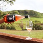 Waiheke Island: Wine Tour & Lunch at Award Winning Venue - The Itinerary in Detail