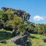 Waiomio Kawiti Glowworm Cave & Ngawha Hot Springs day tour - Practical Considerations