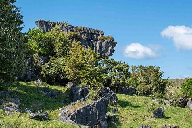Waiomio Kawiti Glowworm Cave & Ngawha Hot Springs day tour - Practical Considerations