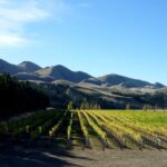 Waipara Wine Trail Private Group Tour From Christchurch - The Sum Up
