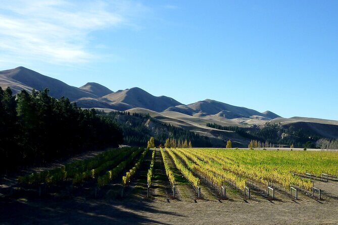 Waipara Wine Trail Private Group Tour From Christchurch - The Sum Up