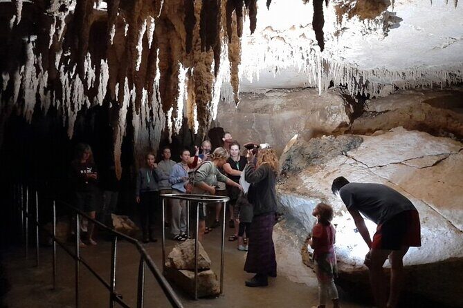 Waipu Milkyway Cave and East Coast Day Tour from Auckland - Scenic Coastal Walks and Hidden Gems