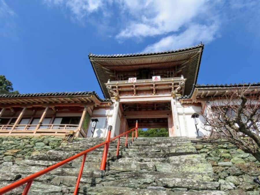 Wakayama: Around Wakaura Area Walking Tour with Local Guide - Exploring the Itinerary: Step-by-Step of the Wakaura Coastal Walk