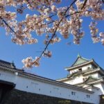 Wakayama Castle Town Walking Tour - Why This Tour Might Be Perfect for You