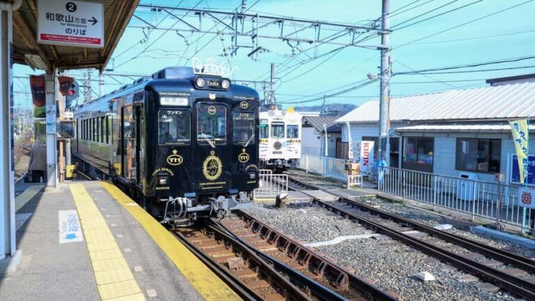 Wakayama: Cat Stationmaster Adventure on the Kishigawa Line - Why This Experience Offers Great Value