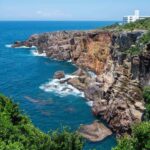 Wakayama: Day Trip to Shirahama Beach & Kuroshio Market - Practical Details and Considerations