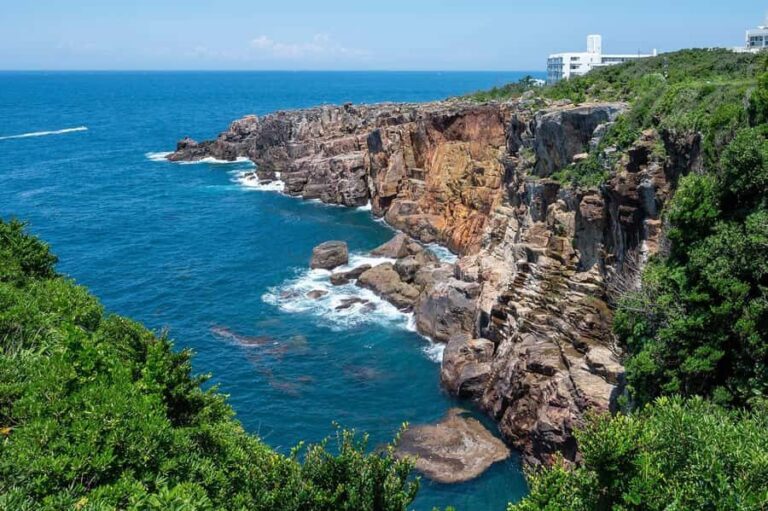 Wakayama: Day Trip to Shirahama Beach & Kuroshio Market - Practical Details and Considerations