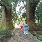 Wakayama: Kumano Kodo Sacred Walk to Nachi in Heian Attire - An In-Depth Look at the Experience