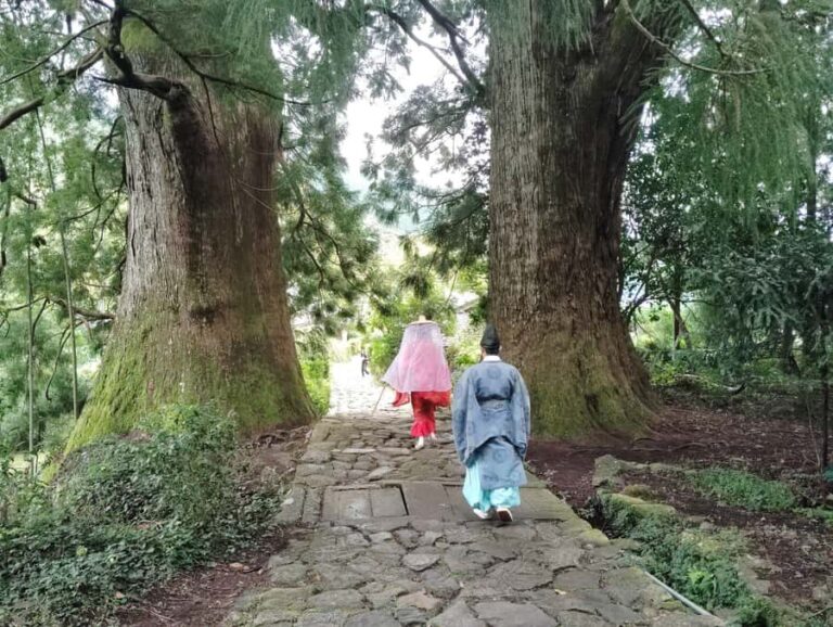 Wakayama: Kumano Kodo Sacred Walk to Nachi in Heian Attire - An In-Depth Look at the Experience