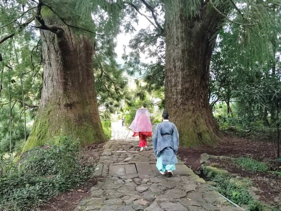 Wakayama: Kumano Kodo Sacred Walk to Nachi in Heian Attire - An In-Depth Look at the Experience