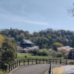 Wakayama: Negoro Historical Walking Tour with Temples Visit - In-Depth Look at the Itinerary