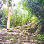 Wakayama: Sacred Journey to Kumano Hayatama and Kamikura - Value and Overall Impression