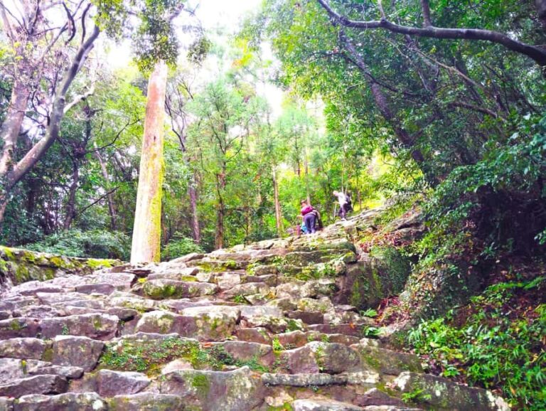 Wakayama: Sacred Journey to Kumano Hayatama and Kamikura - Value and Overall Impression