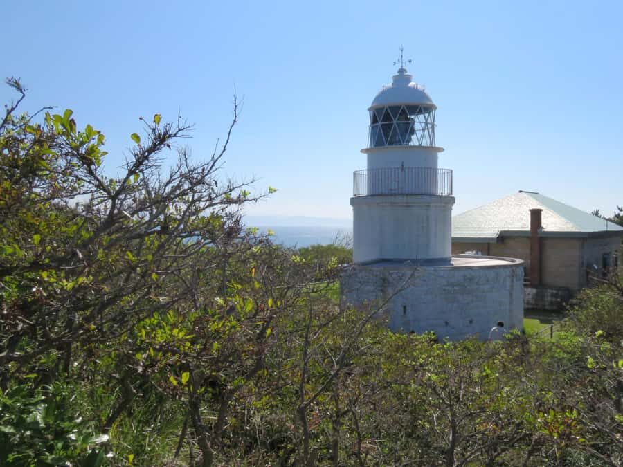 Wakayama: Tomogashima Island Hiking Tour - Final Thoughts: Is It Worth It?