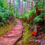 Wakayama: Walk the Kumano Kodo to Kumano Hongu Taisha - The Sum Up